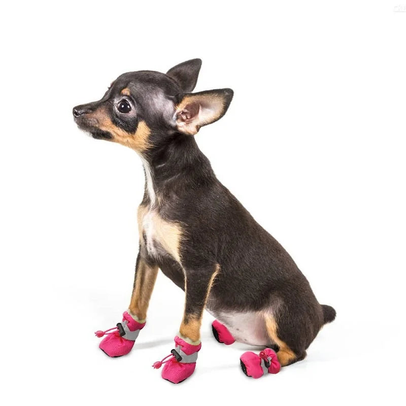 Anti-Slip Dog Shoes for Small and Medium Breeds - Paw-Print Outdoor Pet Boots