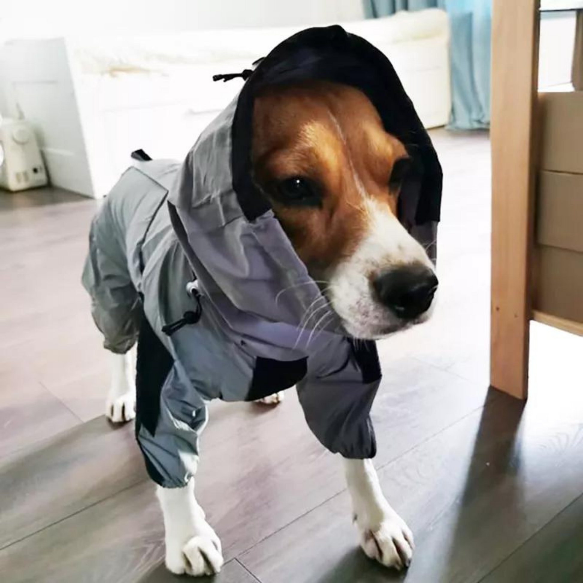 Reflective Waterproof Dog Raincoat with Tactical Style - Outdoor Jacket for Dogs