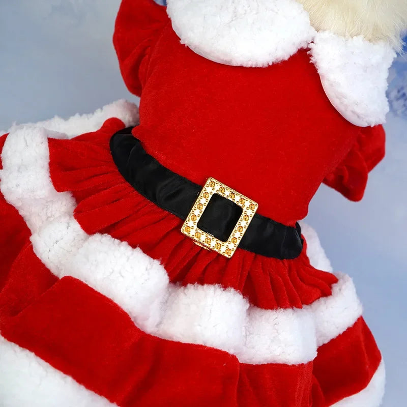 Christmas Pet Dress for Small to Medium Dogs and Cats - Lady Santa