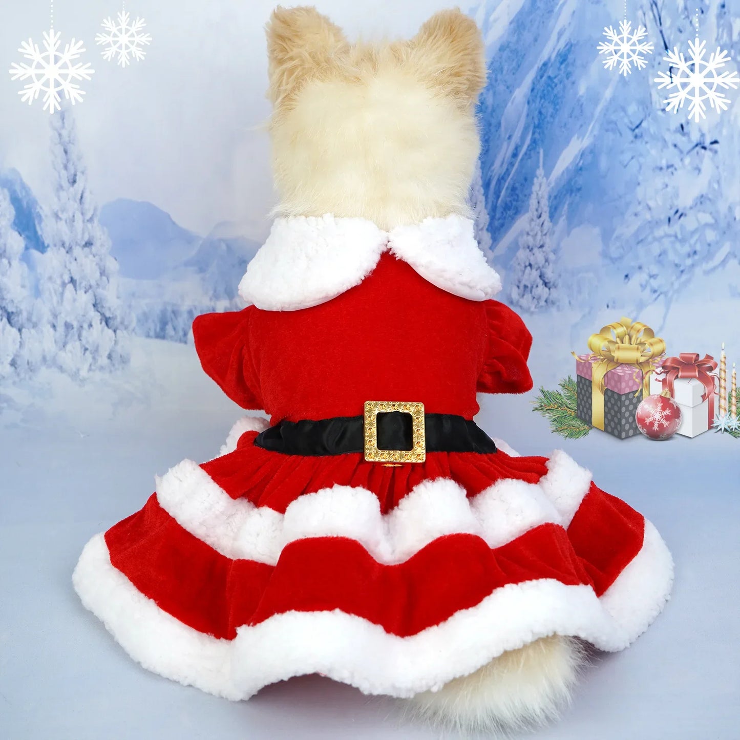 Christmas Pet Dress for Small to Medium Dogs and Cats - Lady Santa