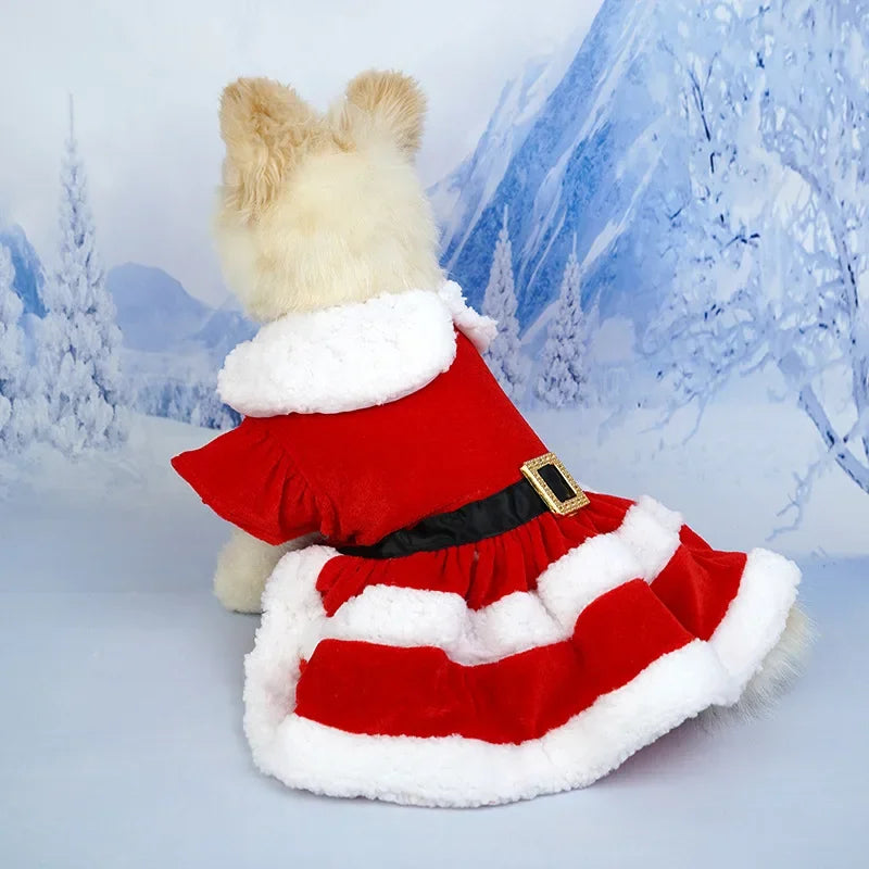 Christmas Pet Dress for Small to Medium Dogs and Cats - Lady Santa