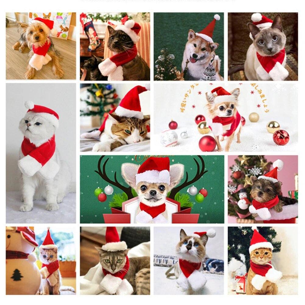 Christmas Costumes Hat and Scarf Set for Cats and Dogs - Xmas Santa Outfit for Pets